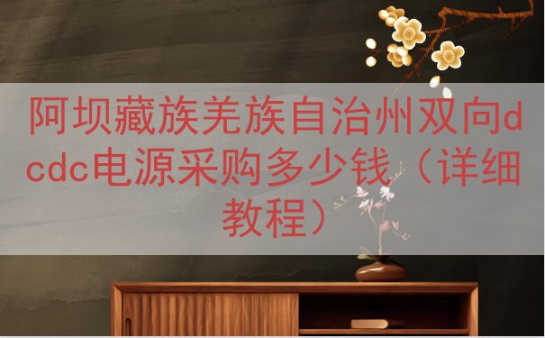 阿坝藏族羌族自治州双向dcdc电源采购多少钱（详细教程）